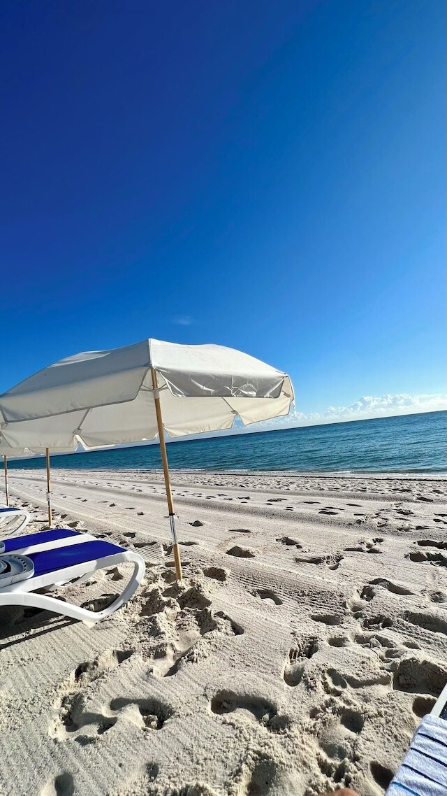 モンテカルロ バイ マイアミ アンバサダーズ