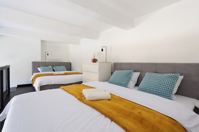 ロフト デュプレックス スタジオ イン プラハ センター