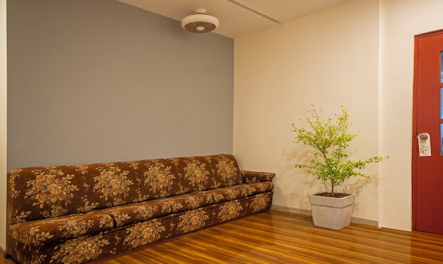 ツリーボー ザ スクエア