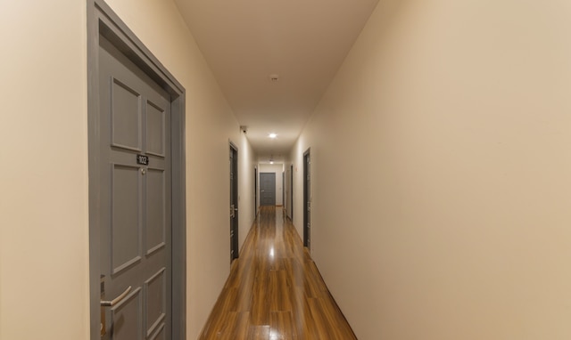 ツリーボー ザ スクエア