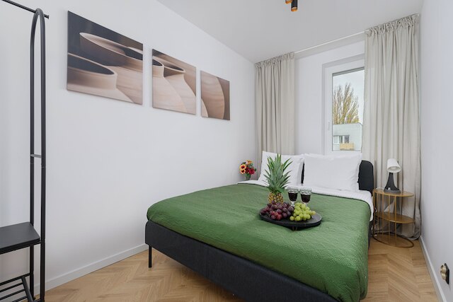 ルミナ スペーシャス アパートメント イン ワルシャワ