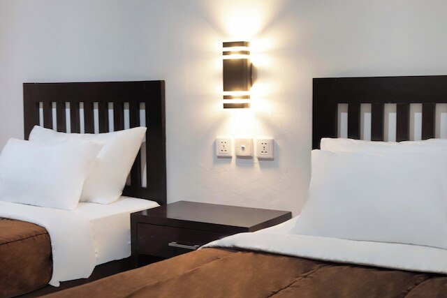 エコ ブー ブー - グリーン ジェネシス