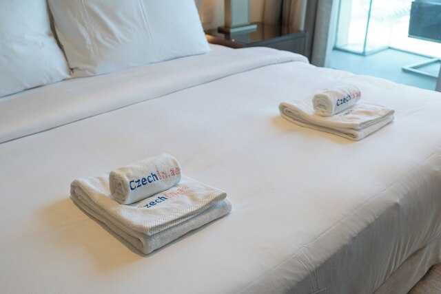 ラグジュアリー リビング スペクタキュラー ブルジュ ビューズ