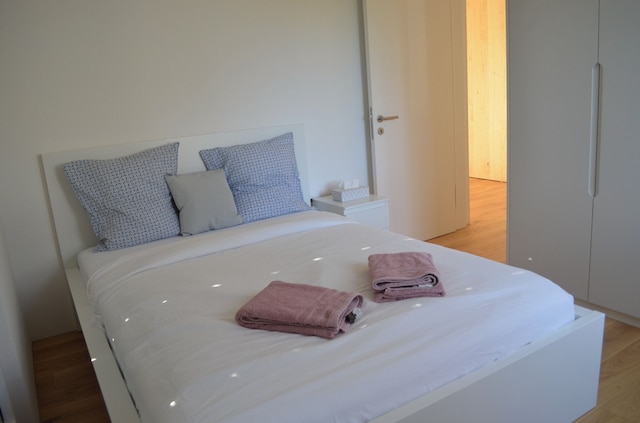 VK - チューリッヒ エアポート - ラグジュアリー - ホームステイ