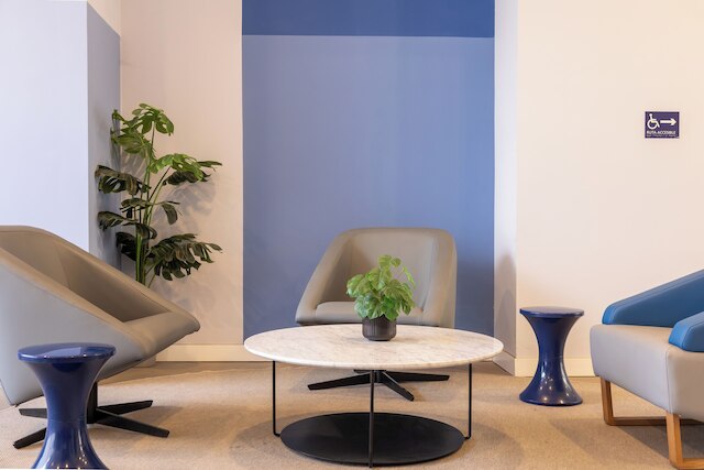 ウマ スイーツ オドネル