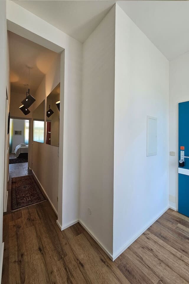 オレンジ パーム