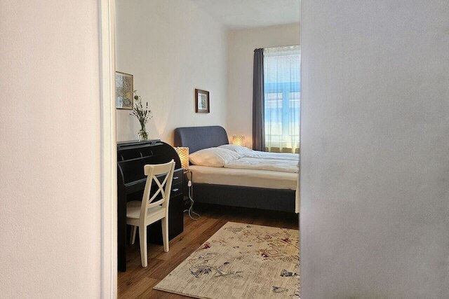 オレンジ パーム