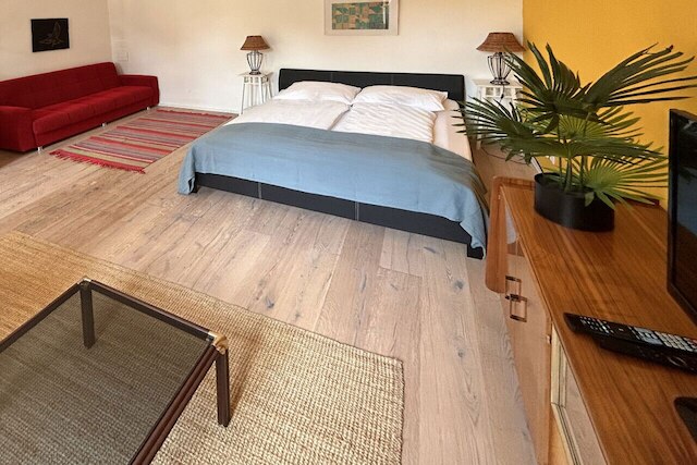 イエロー パーム