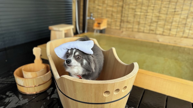 Solana軽井沢別邸