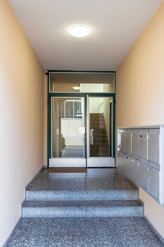 カヤ チューリッヒ ヴィーディコン