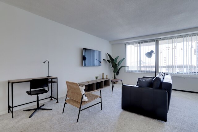 スタイリッシュ & スペーシャス 2ベッドルーム イン クリスタルシティ