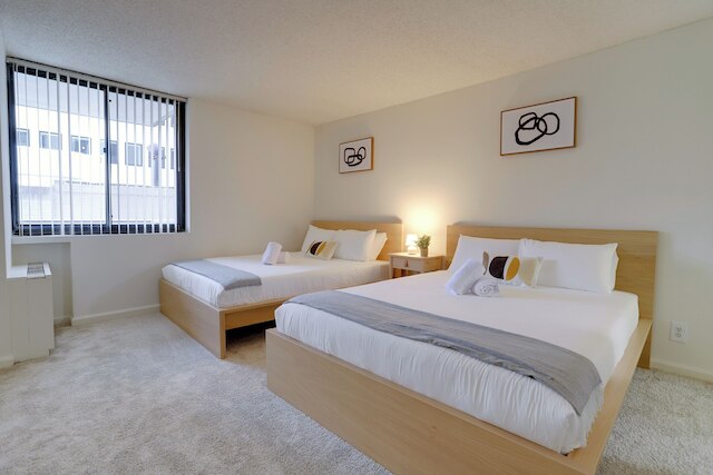 モダン 2 ベッドルーム アパート イン クリスタルシティ ニア D.C.