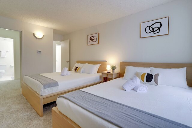 モダン 2 ベッドルーム アパート イン クリスタルシティ ニア D.C.