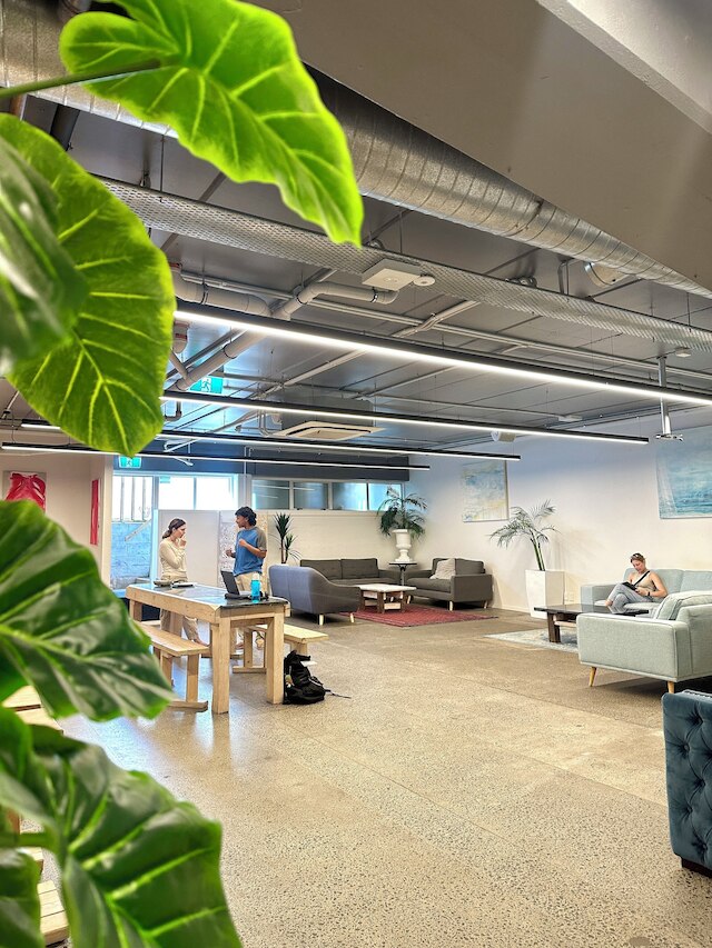 TMACS オークランド