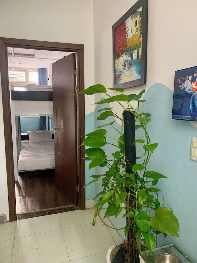 バンク ビーチ ホステル