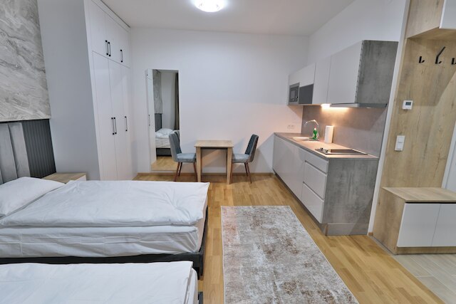 ウィーン ロータス アパートメント