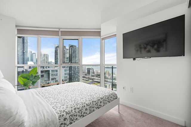 ワールド ワイド ステイズ スイート - エンターテインメント