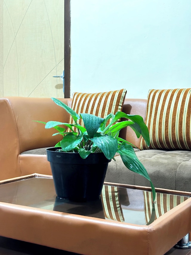 ジョグジャ デイ イン