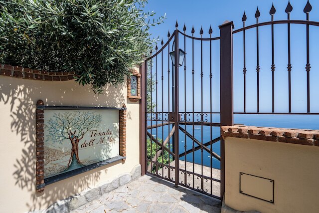 テヌータ デル アルマ