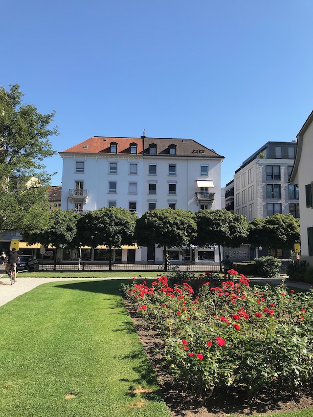 カヤ チューリッヒ シュタウファッハー