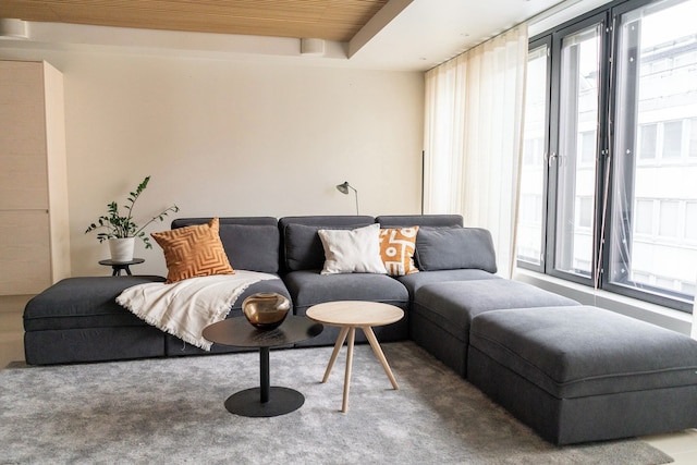 ラグジュアリー 3 ベッドルーム アパートメント ウィズ バルコニー