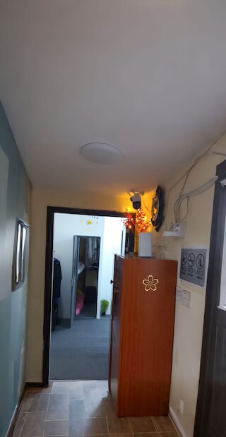 アルハラキ カプセル