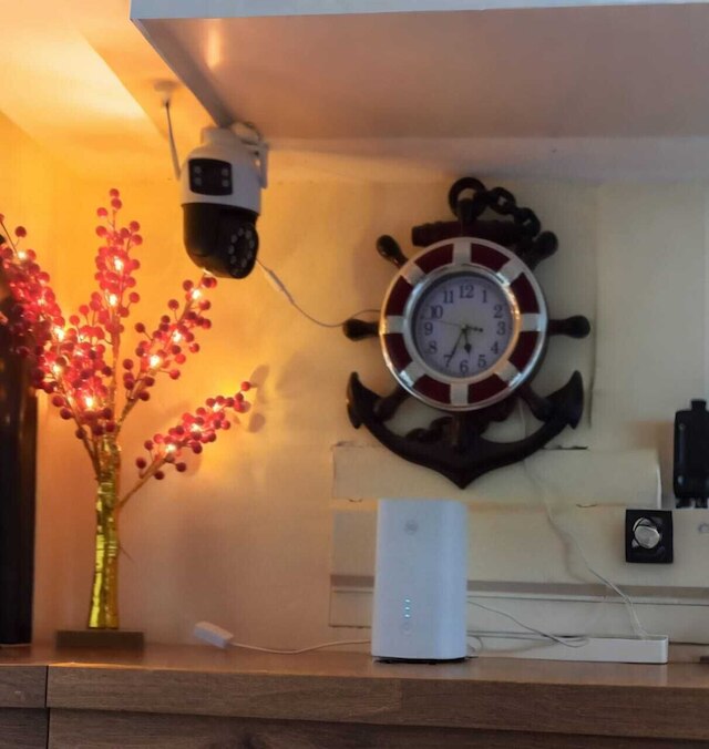 アルハラキ カプセル