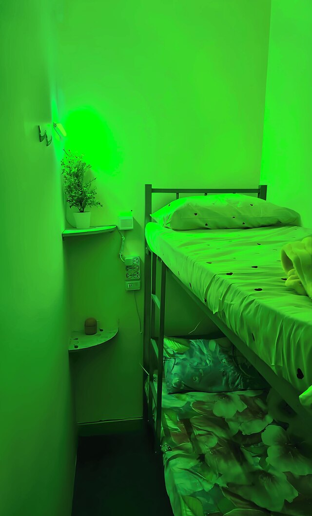 アルハラキ カプセル