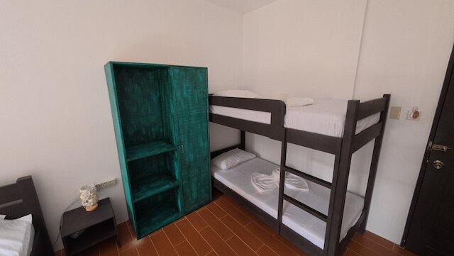 フリーダイブ イン