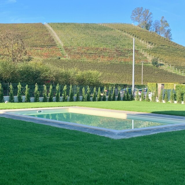 カッシーナ 1909