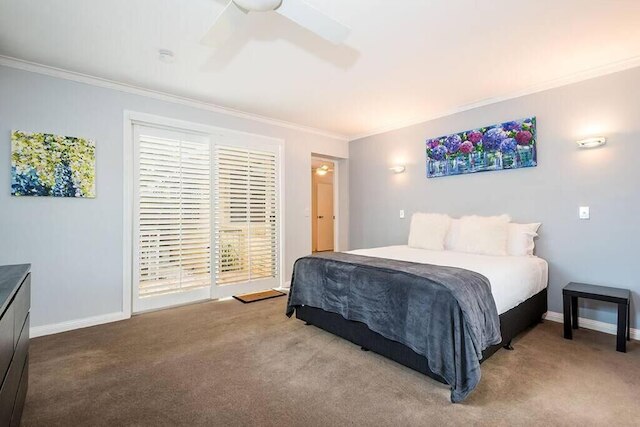 4 ベッドルーム ペット フレンドリー ホーム 200m トゥ クリーク