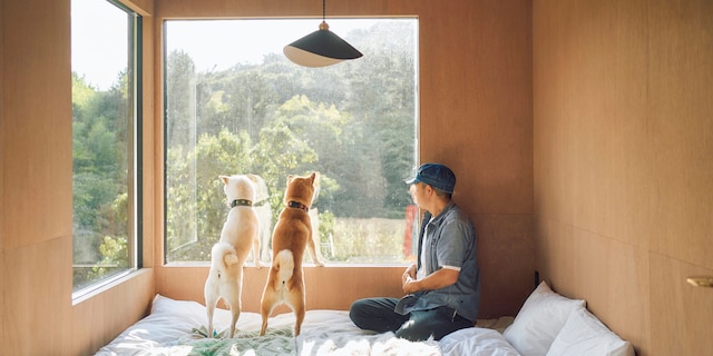 YADOKARI VILLAGE 北軽井沢