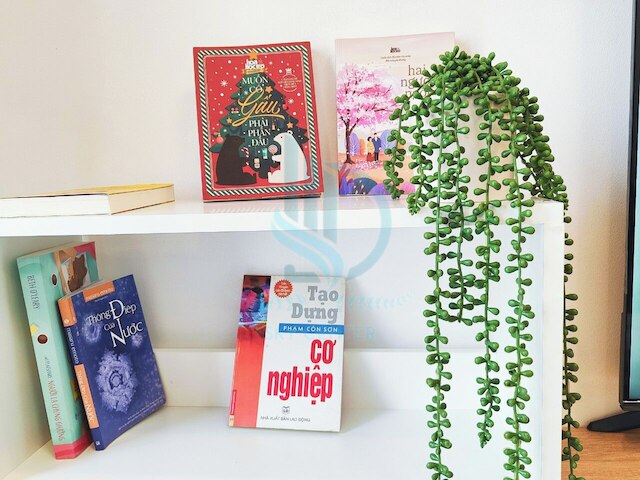 ラグジュアリー 2 ベッドルーム アパートメント セラドンシティ