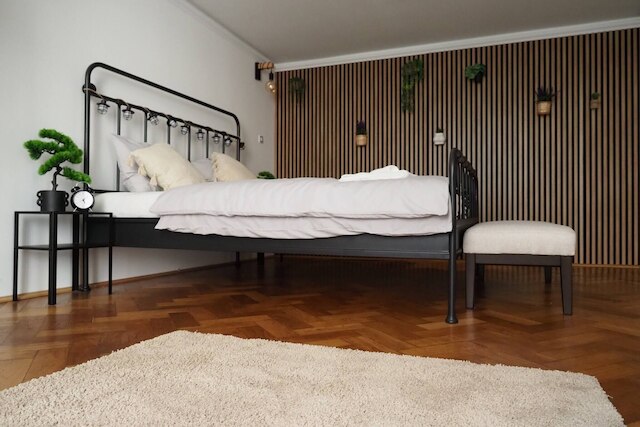 ラグジュアリー プラハ アパートメント イン ハート オブ シティ