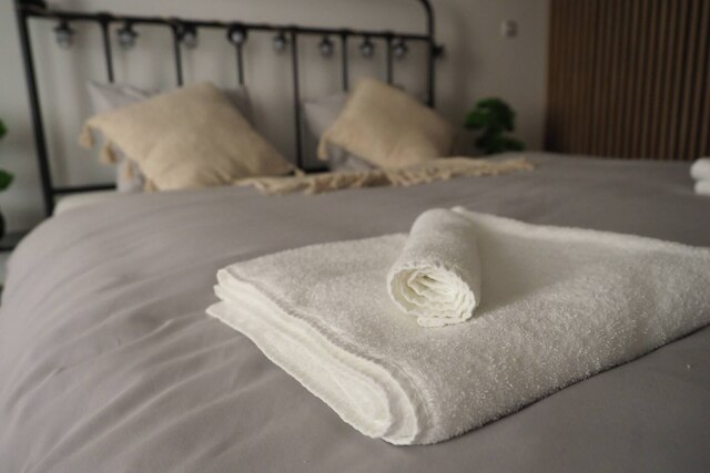 ラグジュアリー プラハ アパートメント イン ハート オブ シティ