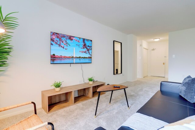 コンフォータブル アパート イン クリスタル シティ