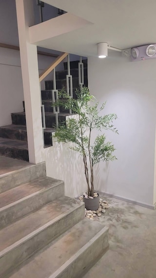 スクワレル ハウス