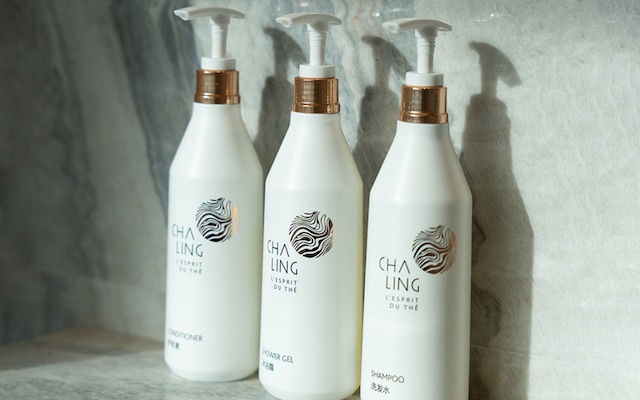 Hangzhou Wulin GDA Hotel, Vignette Collection by IHG