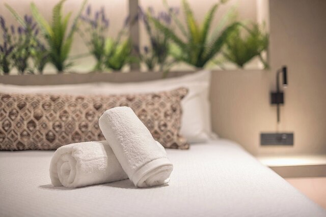 アポロノス 28 ラグジュアリー スイーツ