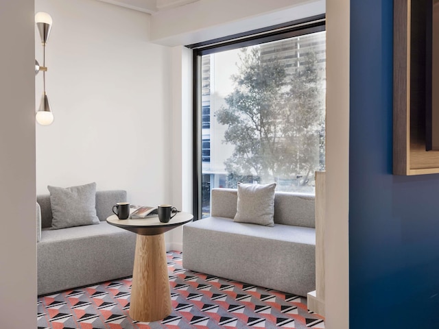 トライブ オークランド