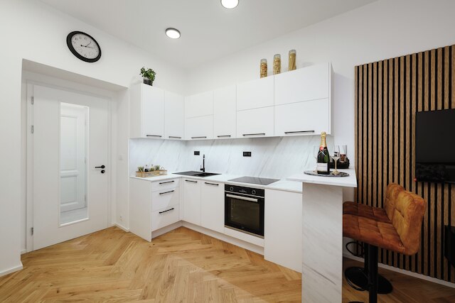 ラグジュアリー ミュージシャンズ アパートメント セントラル プラハ