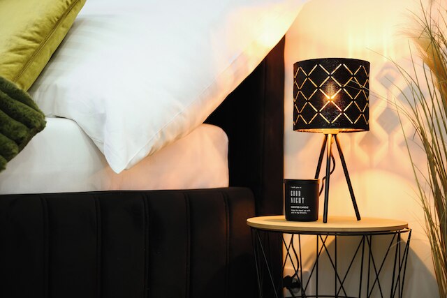 ラグジュアリー ミュージシャンズ アパートメント セントラル プラハ