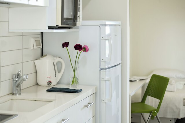 ホーミー スタジオ プライム ロケーション イン テルアビブ