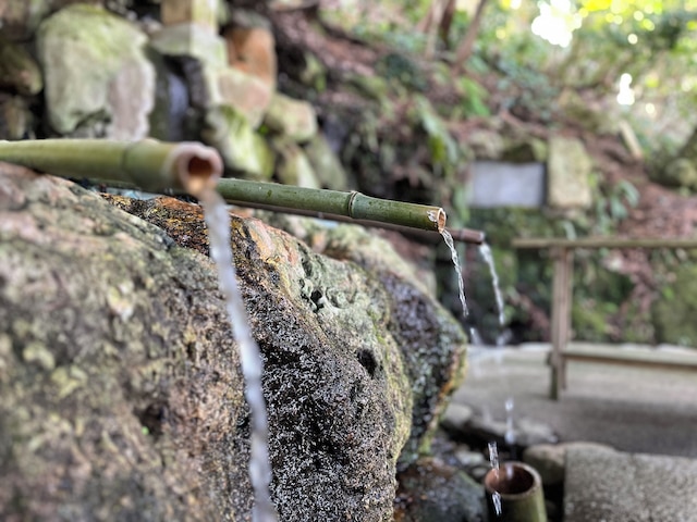川魚・山菜料理　和田屋