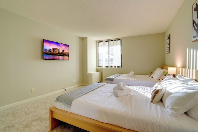 モダン スペーシャス アパートメント クリスタル シティ