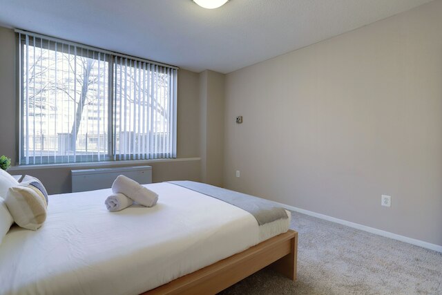 ファンタスティック 2 ベッドルーム コンド ウィズ ジム