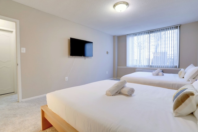 ファンタスティック 2 ベッドルーム コンド ウィズ ジム