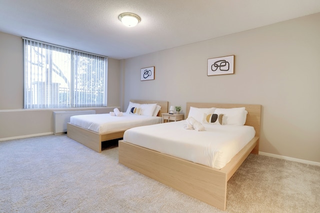 ファンタスティック 2 ベッドルーム コンド ウィズ ジム