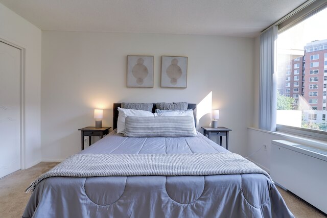 クリスタルシティ コンド ウィズ トップ アメニティーズ