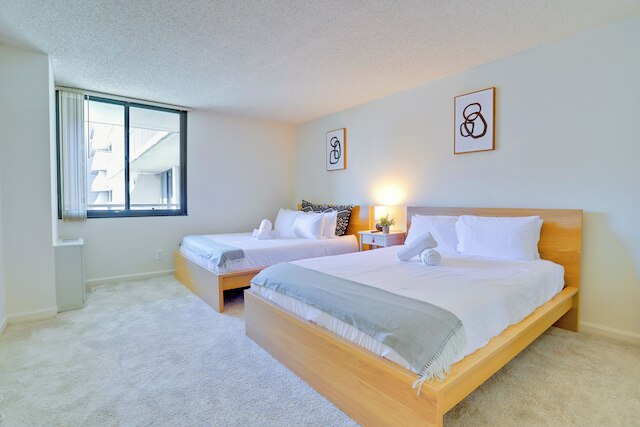 セレーン DC エリア アパートメンツ